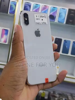 Apple iPhone X (Used)