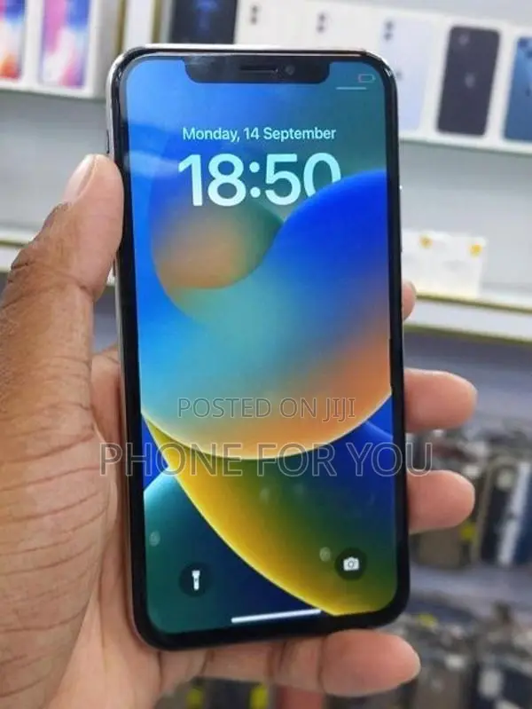 Apple iPhone X (Used)