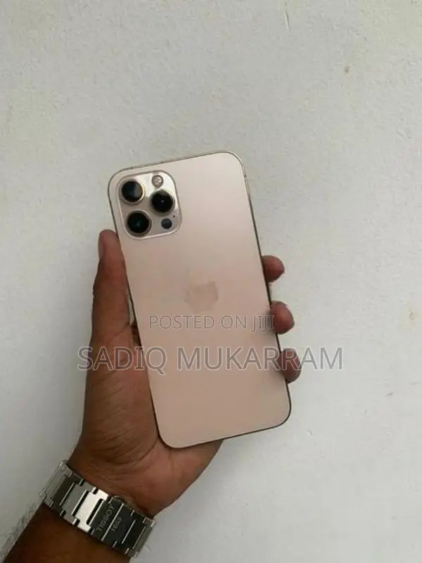 Apple iPhone 12 Pro Max 256GB (Used)