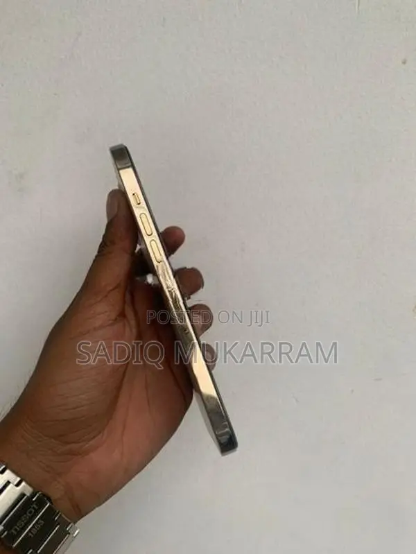 Apple iPhone 12 Pro Max 256GB (Used)