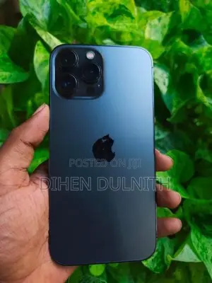 Apple iPhone 13 Pro Max (Used)