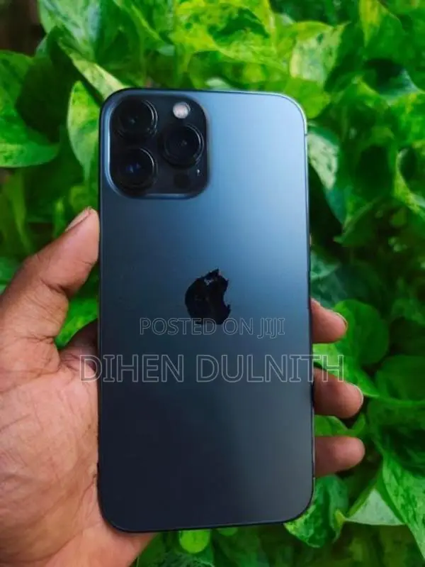 Apple iPhone 13 Pro Max (Used)