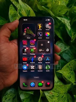 Apple iPhone 13 Pro Max (Used)