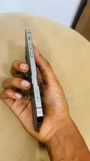 Apple iPhone 12 Pro (Used)