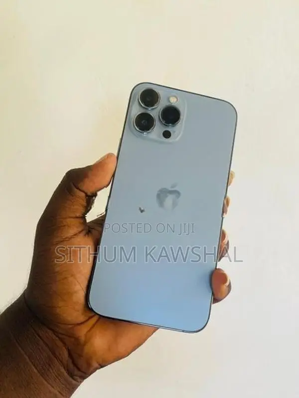 Apple iPhone 13 Pro Max (Used)