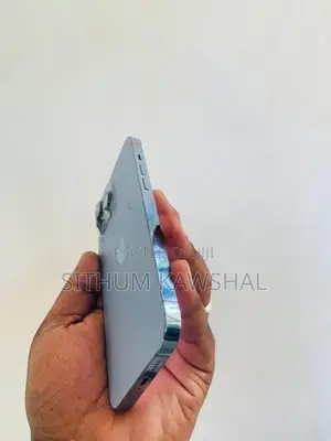 Apple iPhone 13 Pro Max (Used)