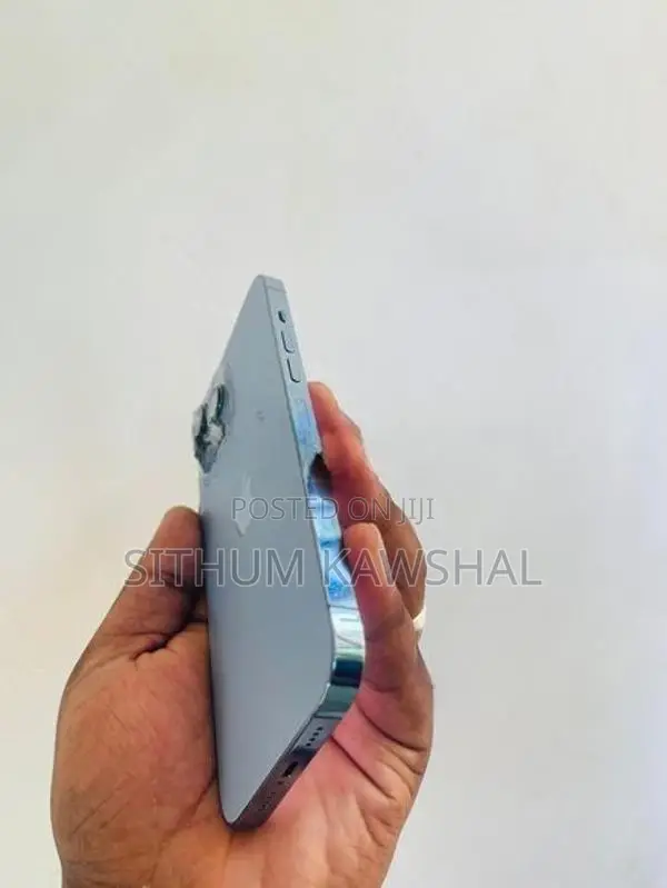 Apple iPhone 13 Pro Max (Used)