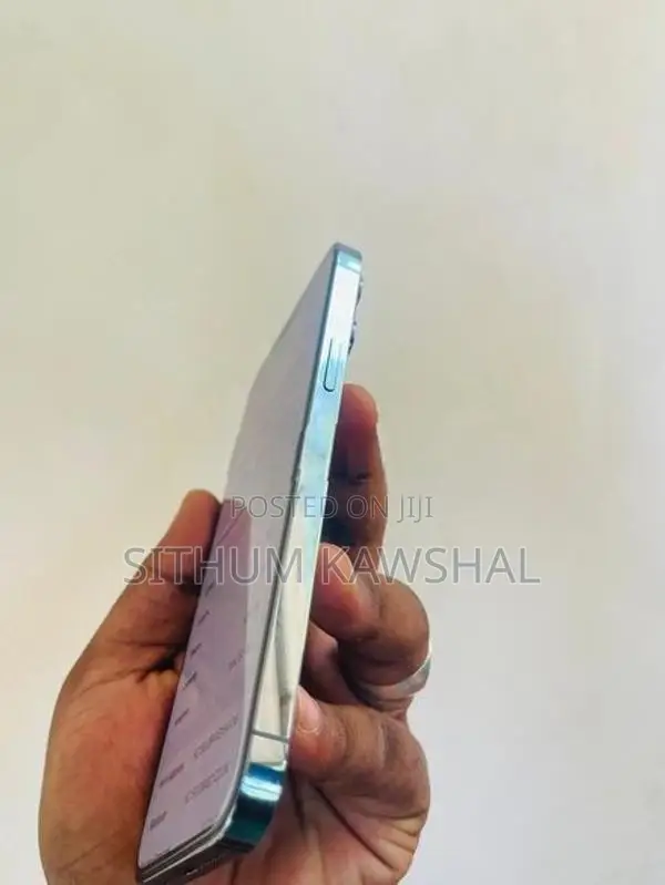 Apple iPhone 13 Pro Max (Used)