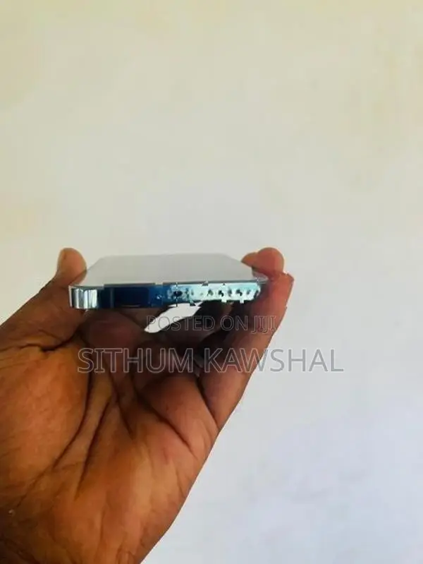 Apple iPhone 13 Pro Max (Used)