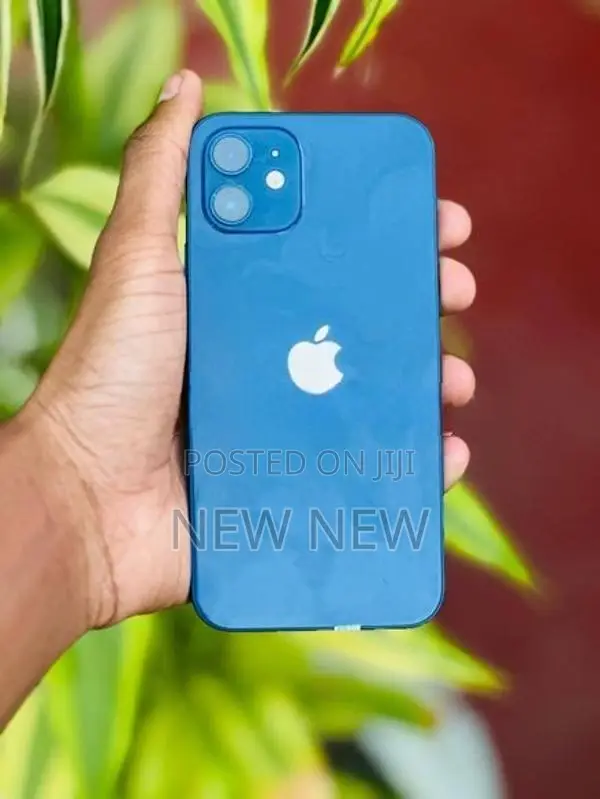 Apple iPhone 12 128GB (Used)