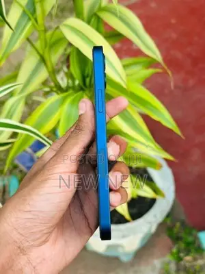 Apple iPhone 12 128GB (Used)
