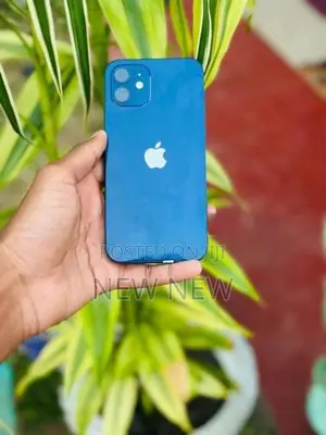 Apple iPhone 12 128GB (Used)