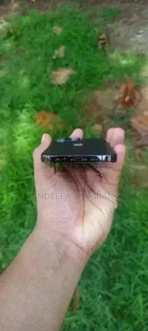 Apple iPhone 13 Pro (Used)