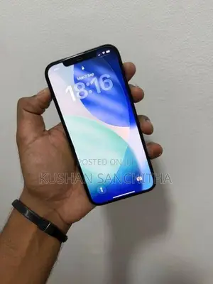 Apple iPhone 12 Pro Max (Used)