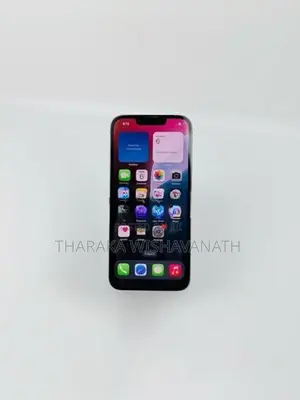 Apple iPhone 13 Pro (Used)