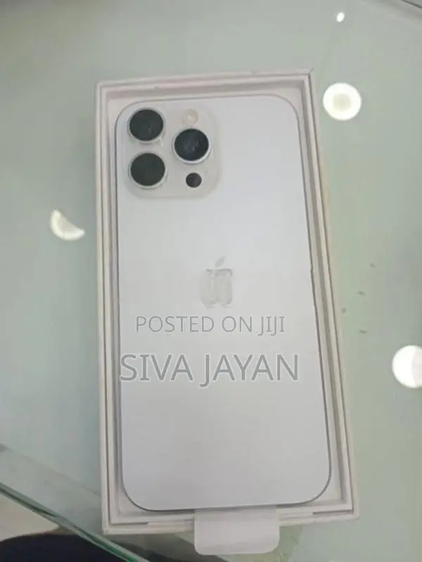 Apple iPhone 12 Pro Max 256GB (Used)