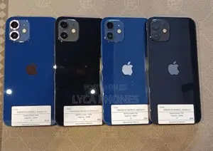 Apple iPhone 12 128GB (Used)