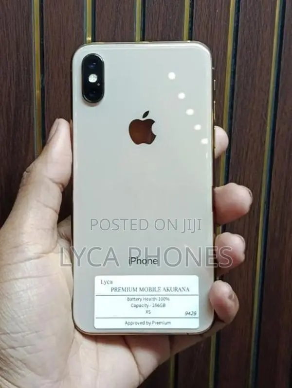 Apple iPhone XS 256GB (Used)
