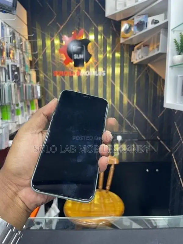 Apple iPhone 11 GB (Used)
