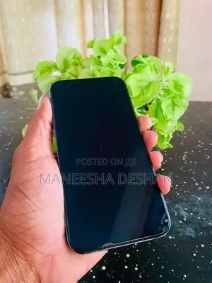 Apple iPhone 13 Pro (Used)