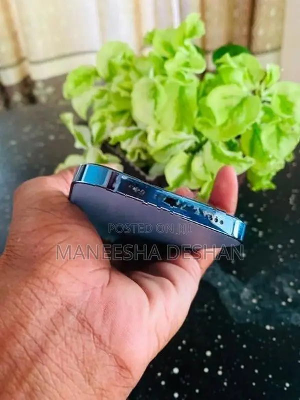 Apple iPhone 13 Pro (Used)