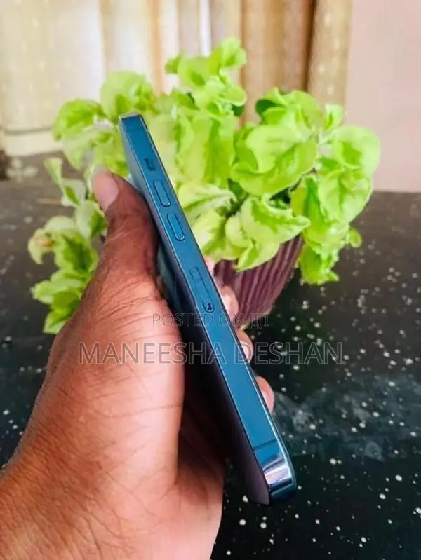 Apple iPhone 13 Pro (Used)