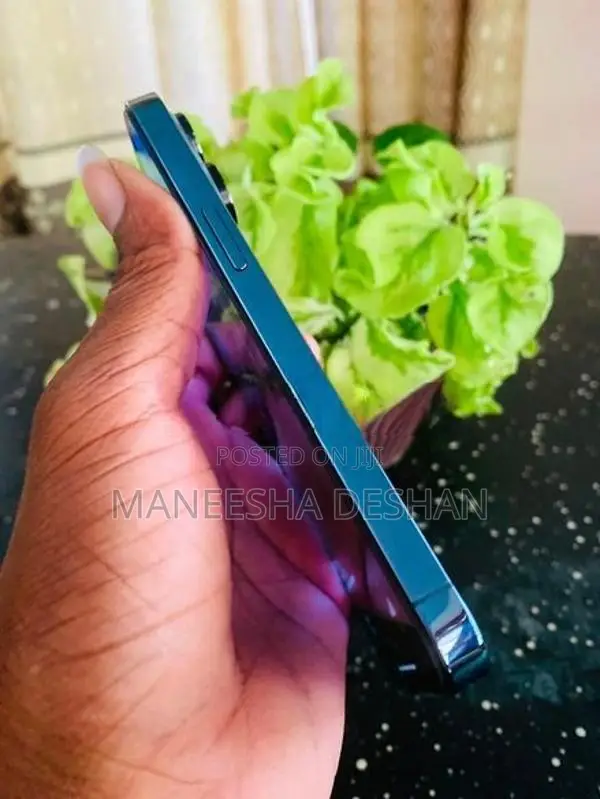 Apple iPhone 13 Pro (Used)