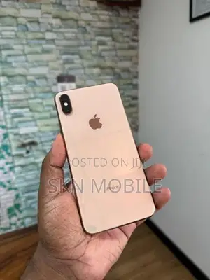 Apple iPhone XS Max 256GB (Used)