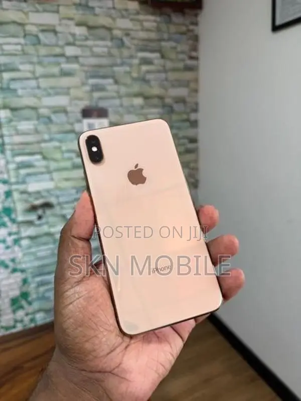 Apple iPhone XS Max 256GB (Used)