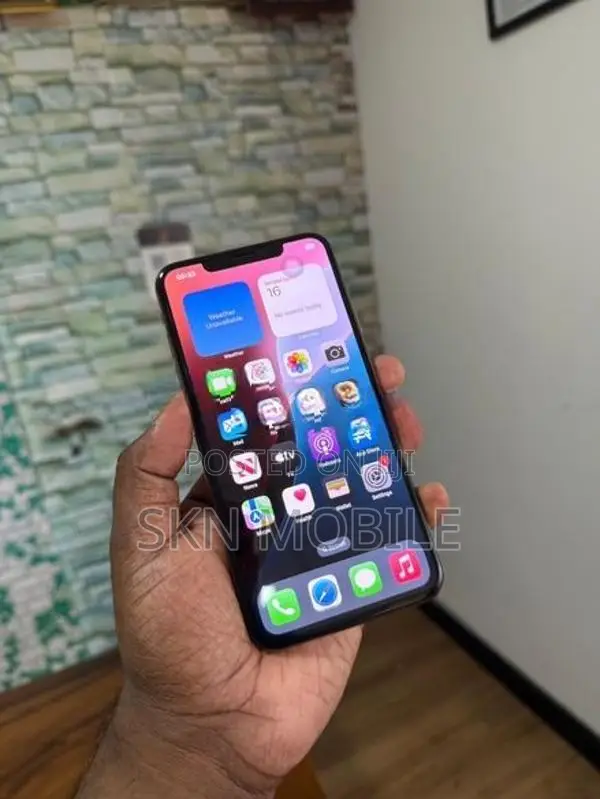 Apple iPhone XS Max 256GB (Used)
