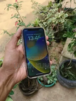 Apple iPhone X (Used)