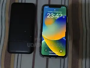 Apple iPhone X (Used)