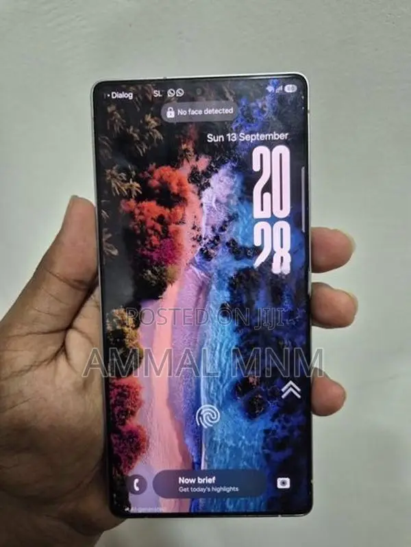 Samsung Galaxy S25 Ultra (Used)