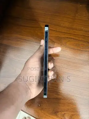 Apple iPhone 12 Pro Max (Used)
