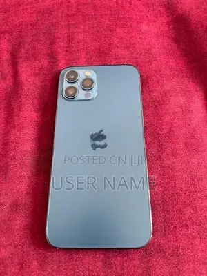 Apple iPhone 12 Pro Max (Used)