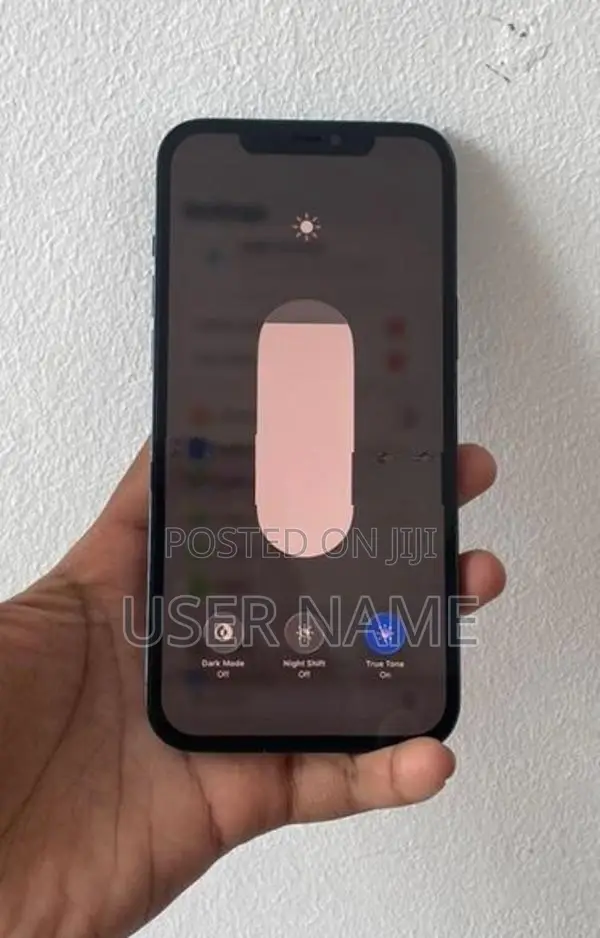 Apple iPhone 12 Pro Max (Used)