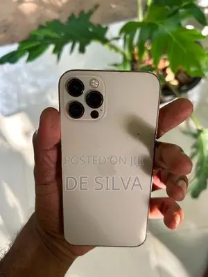 Apple iPhone 12 Pro (Used)
