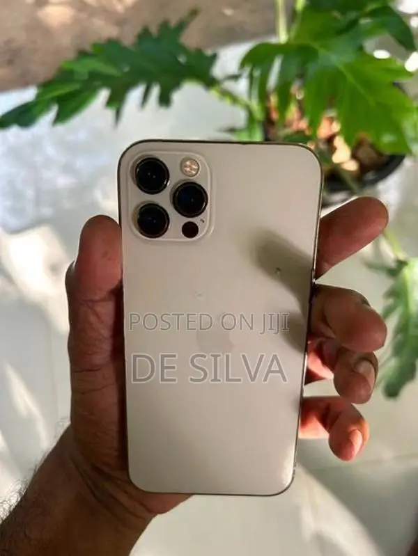 Apple iPhone 12 Pro (Used)