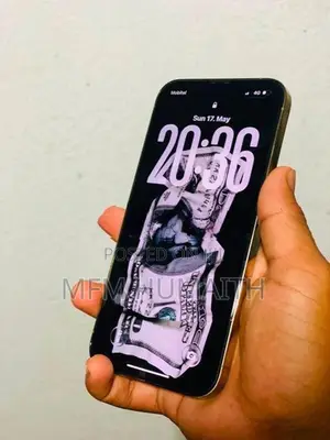 Apple iPhone 13 Pro (Used)
