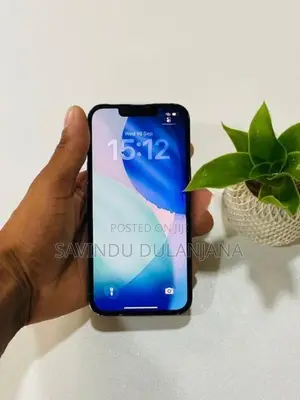 Apple iPhone 13 Pro 256GB (Used)