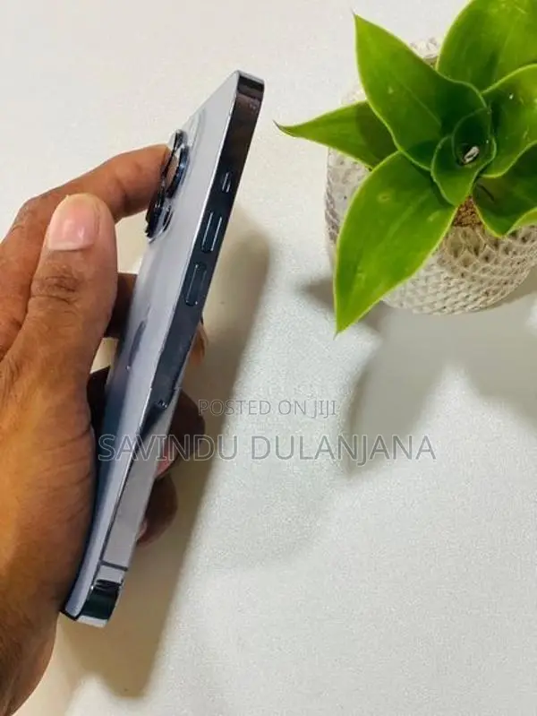 Apple iPhone 13 Pro 256GB (Used)