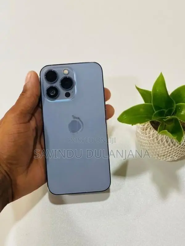 Apple iPhone 13 Pro 256GB (Used)