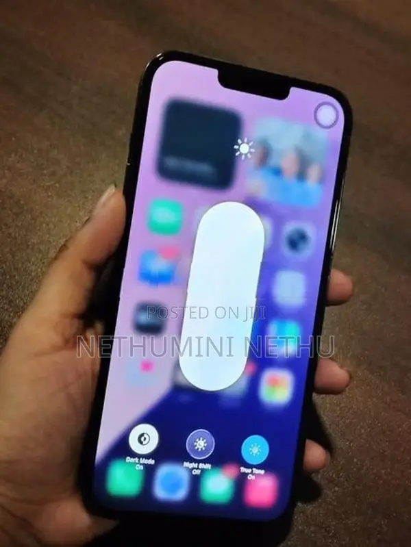 Apple iPhone 13 Pro Max (Used)