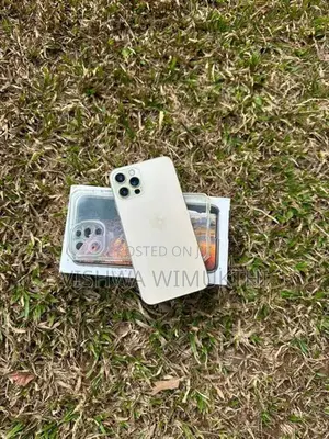 Apple iPhone 12 Pro (Used)