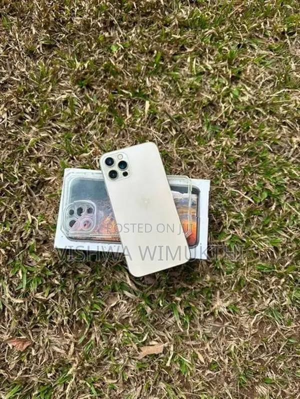 Apple iPhone 12 Pro (Used)