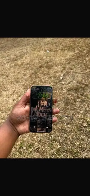 Apple iPhone 12 Pro (Used)
