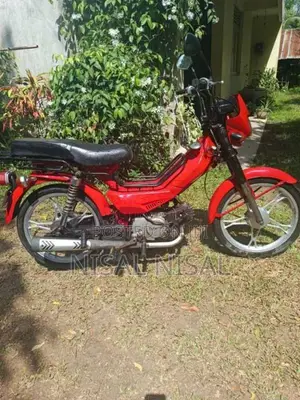 Singer Safari 2017 Motorbike Unregistered (Recondition)