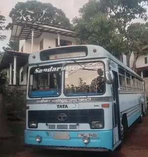 Tata 1515 2017 Bus (Used)