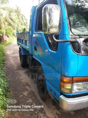 Isuzu Tipper 1993 Lorry (Used)