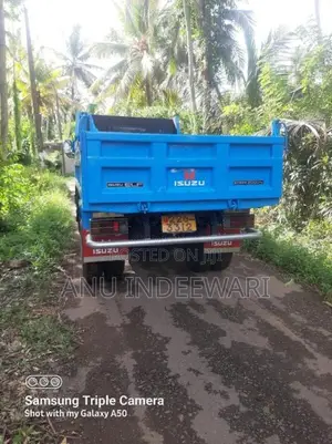 Isuzu Tipper 1993 Lorry (Used)